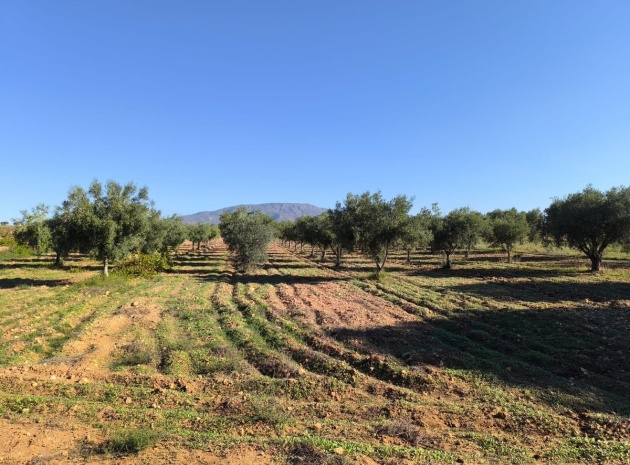 Resale - Country Property - Pinoso - Pinoso Centro