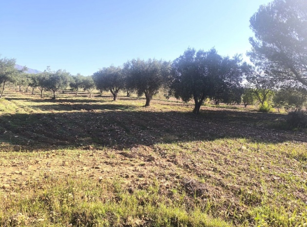 Resale - Country Property - Pinoso - Pinoso Centro