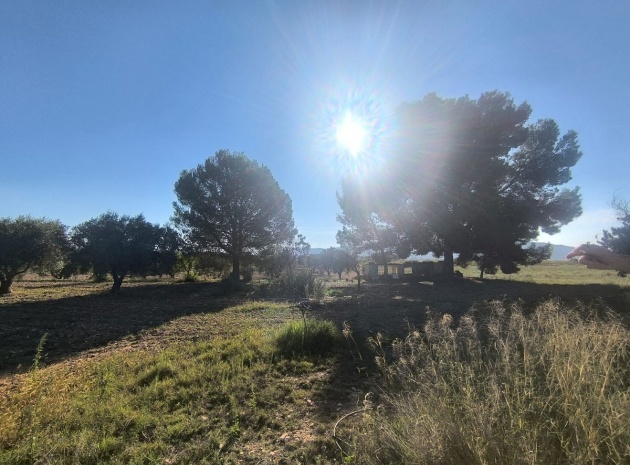 Resale - Country Property - Pinoso - Pinoso Centro