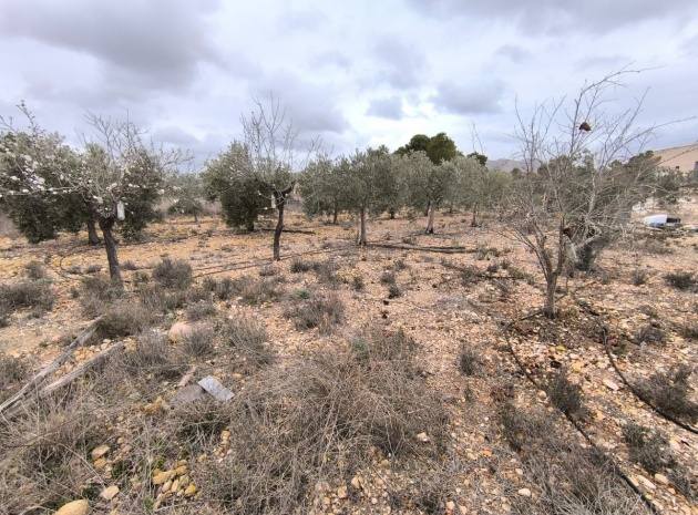 Revente - Country Property - La Romana - La Romana Centro