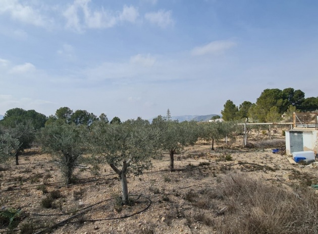 Revente - Country Property - La Romana - La Romana Centro