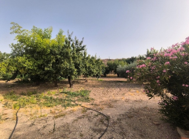 Resale - Country Property - Pinoso - Pinoso Centro