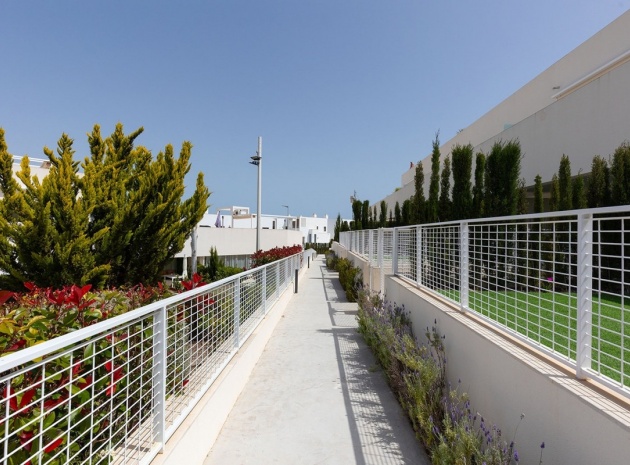 Resale - Apartment - Orihuela - Los Balcones