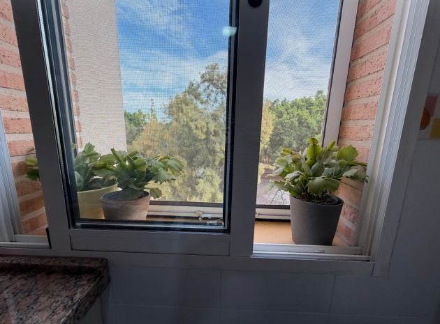Wederverkoop - Appartement - Pilar de la Horadada