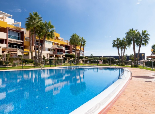 Resale - Apartment - Playa Flamenca - el bosque