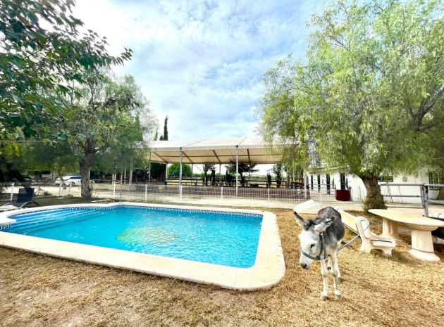 Resale - Country Property - Orihuela - Orihuela Centro