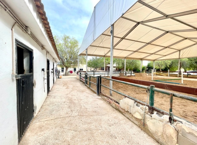 Resale - Country Property - Orihuela - Orihuela Centro