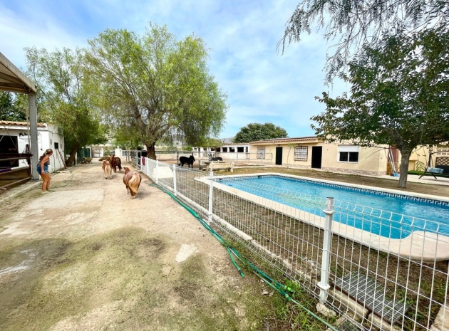 Resale - Country Property - Orihuela - Orihuela Centro