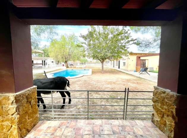 Resale - Country Property - Orihuela - Orihuela Centro