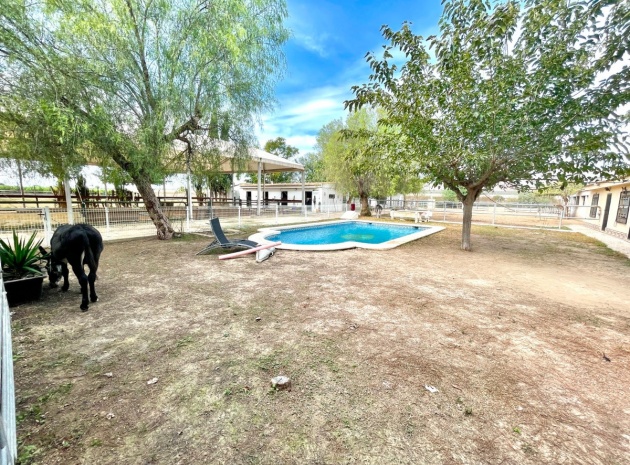 Resale - Country Property - Orihuela - Orihuela Centro
