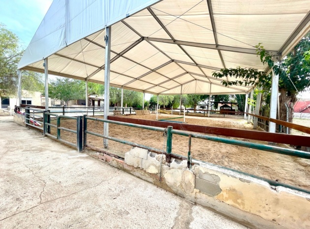 Resale - Country Property - Orihuela - Orihuela Centro