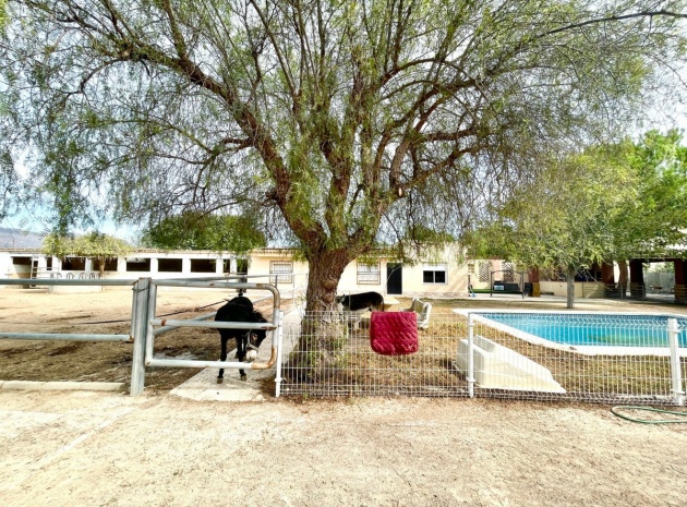 Resale - Country Property - Orihuela - Orihuela Centro