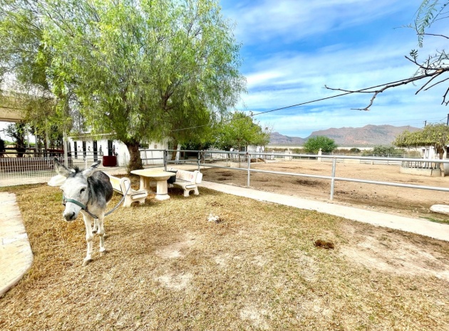 Resale - Country Property - Orihuela - Orihuela Centro