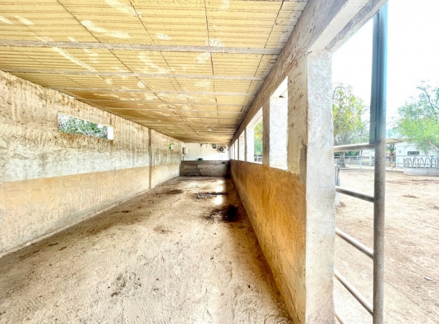 Resale - Country Property - Orihuela - Orihuela Centro