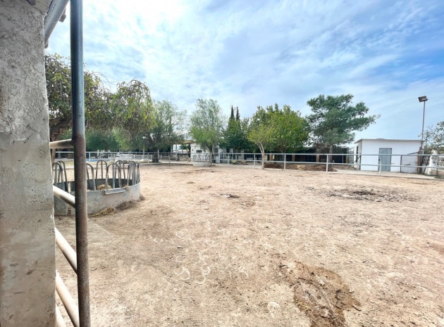 Resale - Country Property - Orihuela - Orihuela Centro