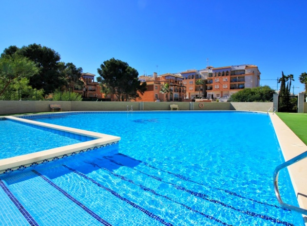 Resale - Apartment - Playa Flamenca - parque del duque