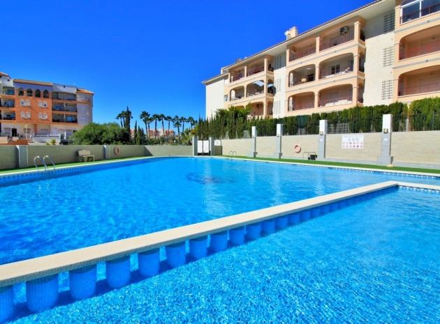 Resale - Apartment - Playa Flamenca - parque del duque