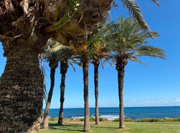 Wederverkoop - Appartement - Torrevieja - La Veleta