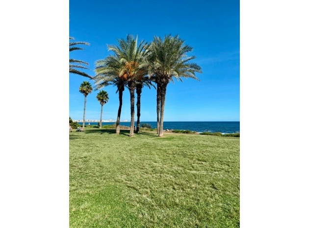 Wederverkoop - Appartement - Torrevieja - La Veleta