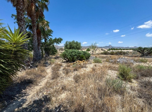 Resale - Country Property - Orihuela - Orihuela Centro