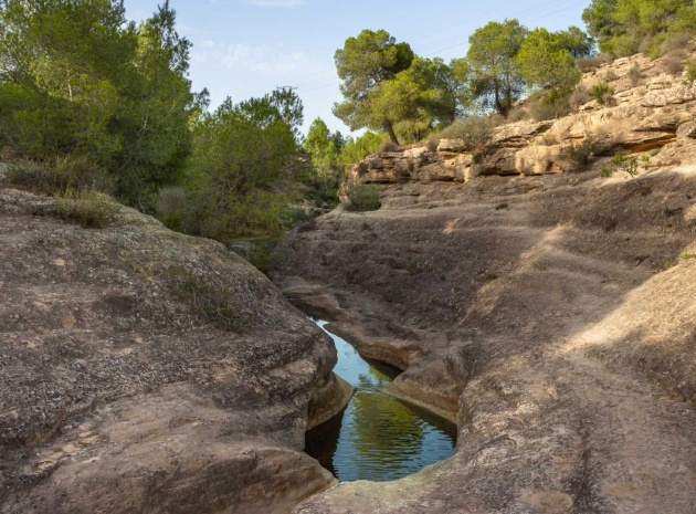 Resale - Bungalow - Algorfa - La Finca Golf