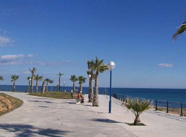 Nieuw gebouw - Appartement - Playa Flamenca