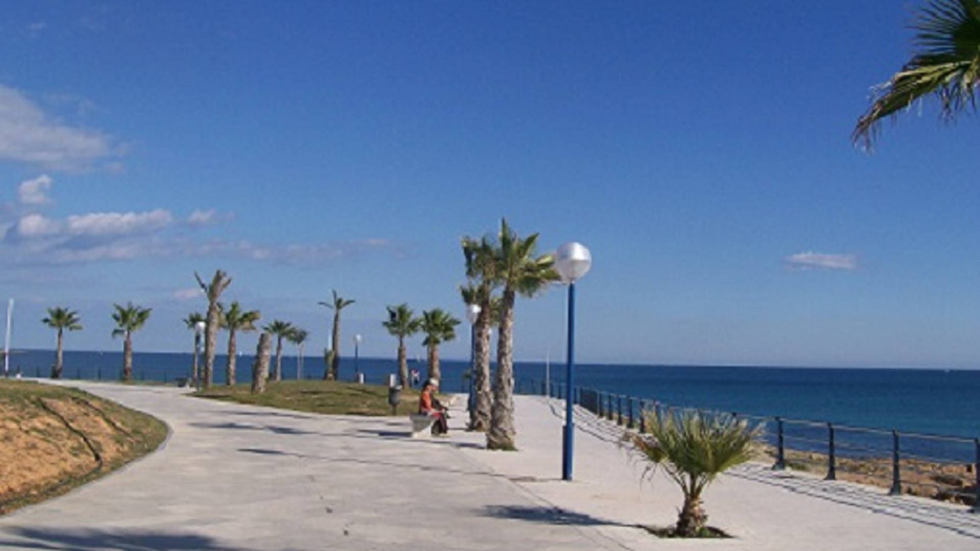 Nieuw gebouw - Appartement - Playa Flamenca