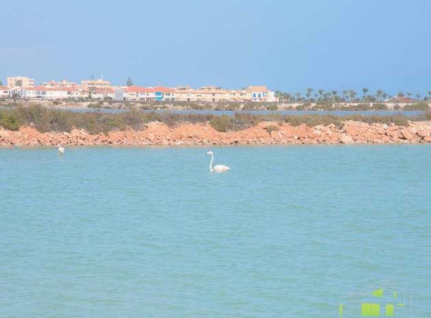 Nybyggnad - Villa - San Pedro del Pinatar