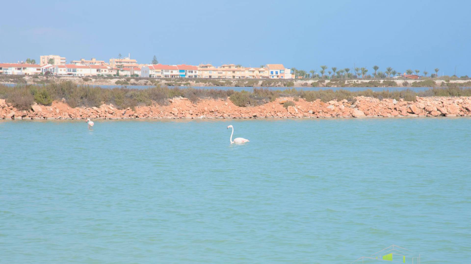 Nybyggnad - Villa - San Pedro del Pinatar