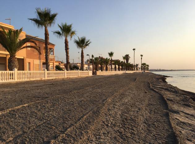 Nieuw gebouw - Villa - Pilar de la Horadada