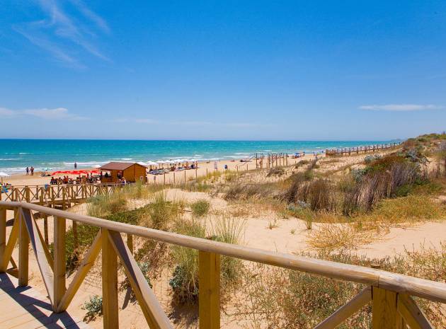 New Build - Villa - Ciudad Quesada