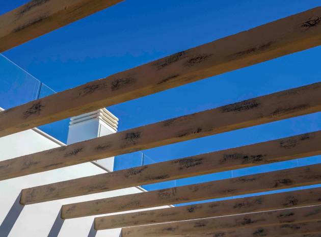 Nieuw gebouw - Villa - Ciudad Quesada