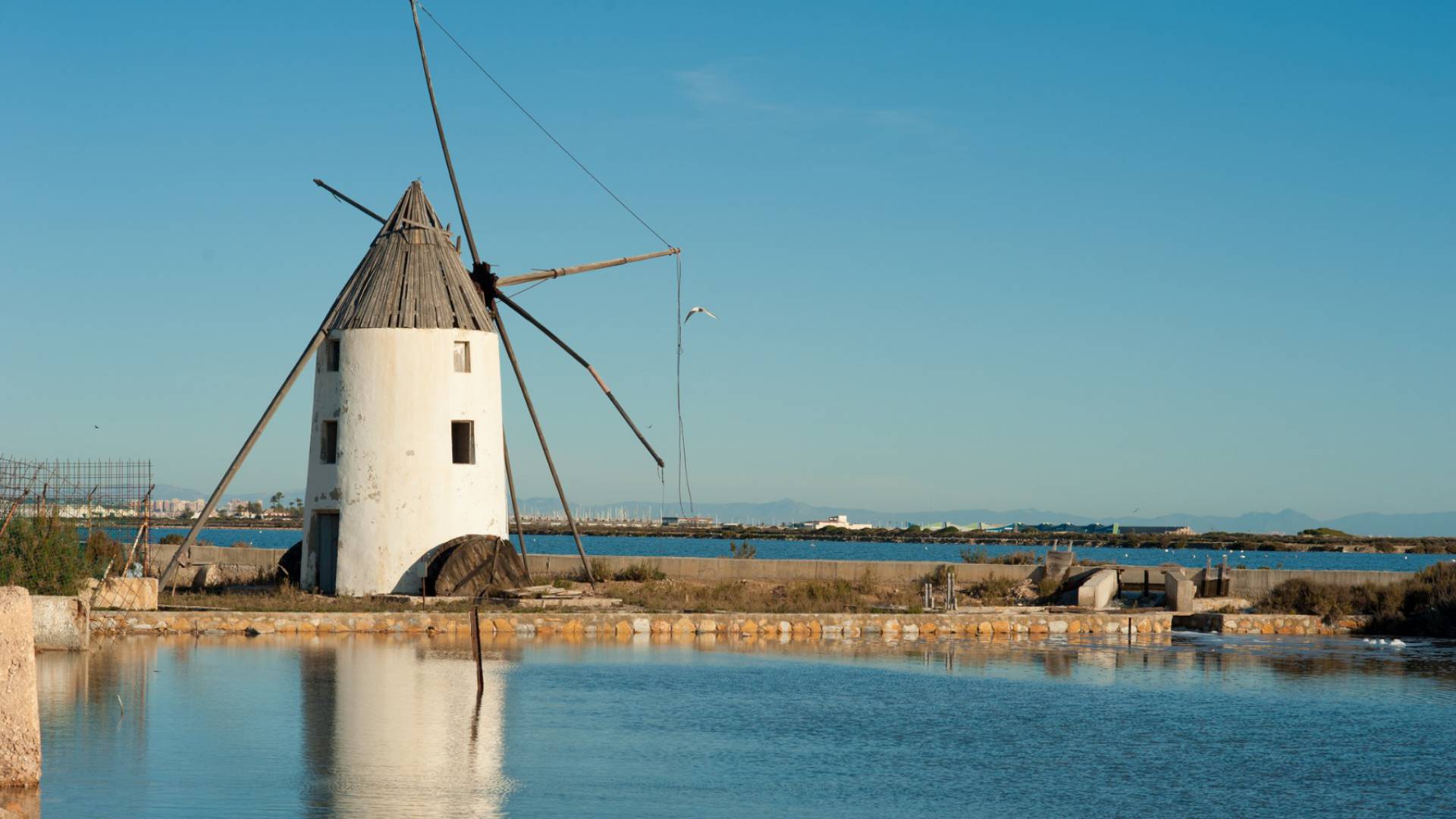 Nieuw gebouw - Appartement - La Manga