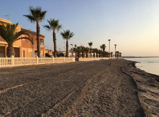 Neubau - Wohnung - Pilar de la Horadada