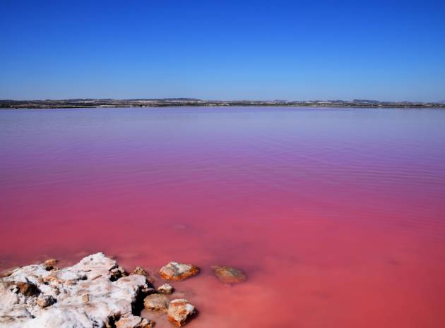 Complete - Key Ready - Villa - Los Montesinos