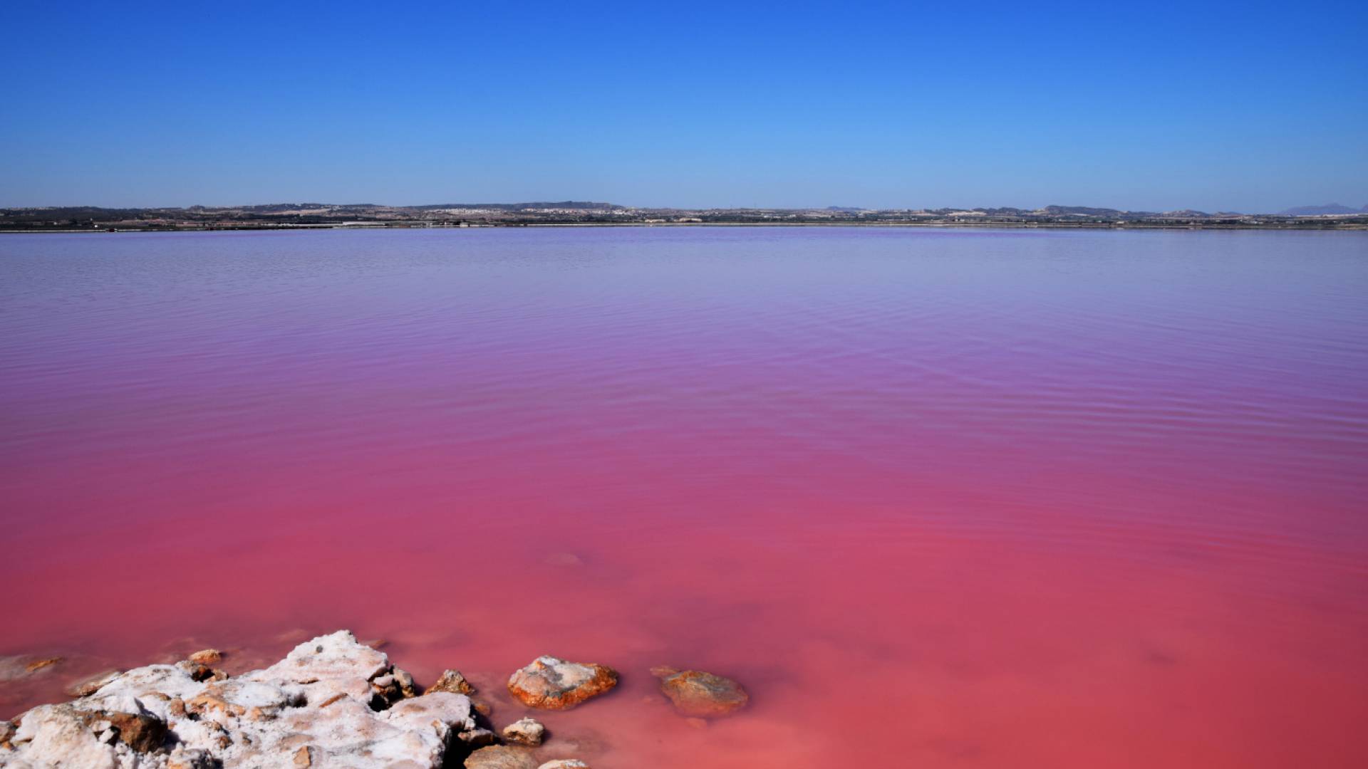 Complete - Key Ready - Villa - Los Montesinos