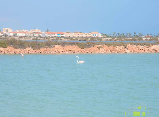 San_Pedro_Del_Pinatar_Murcia_New_Build_Modern_Villa_To Buy-nsp204-13