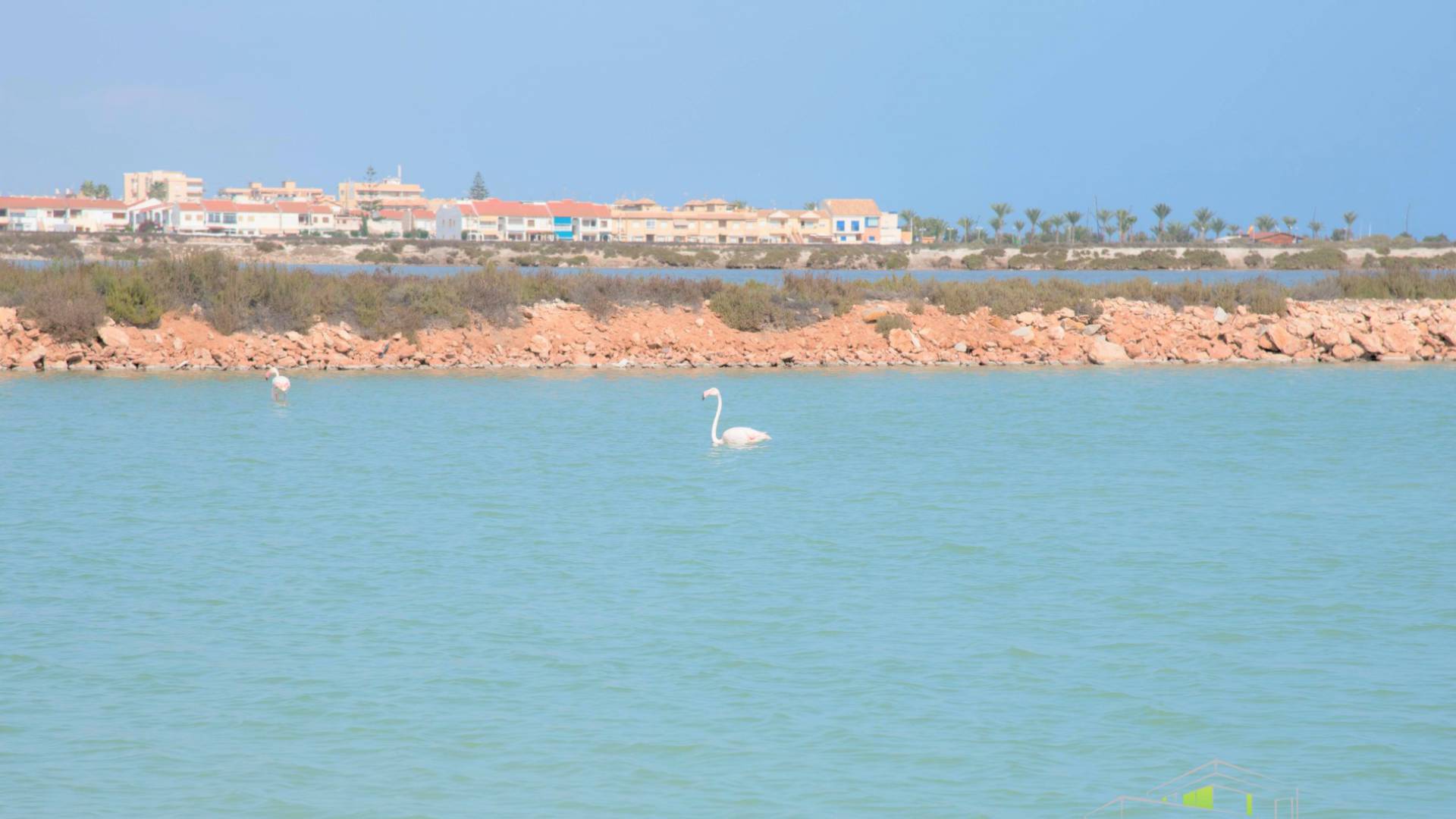 San_Pedro_Del_Pinatar_Murcia_New_Build_Modern_Villa_To Buy-nsp204-13