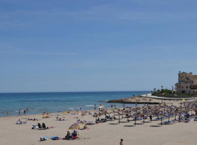 Complete - Key Ready - Apartment - La Zenia