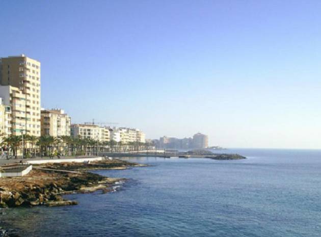 Neubau - Wohnung - Torrevieja