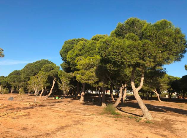 Nybyggnad - Lägenhet - Santiago de la Ribera