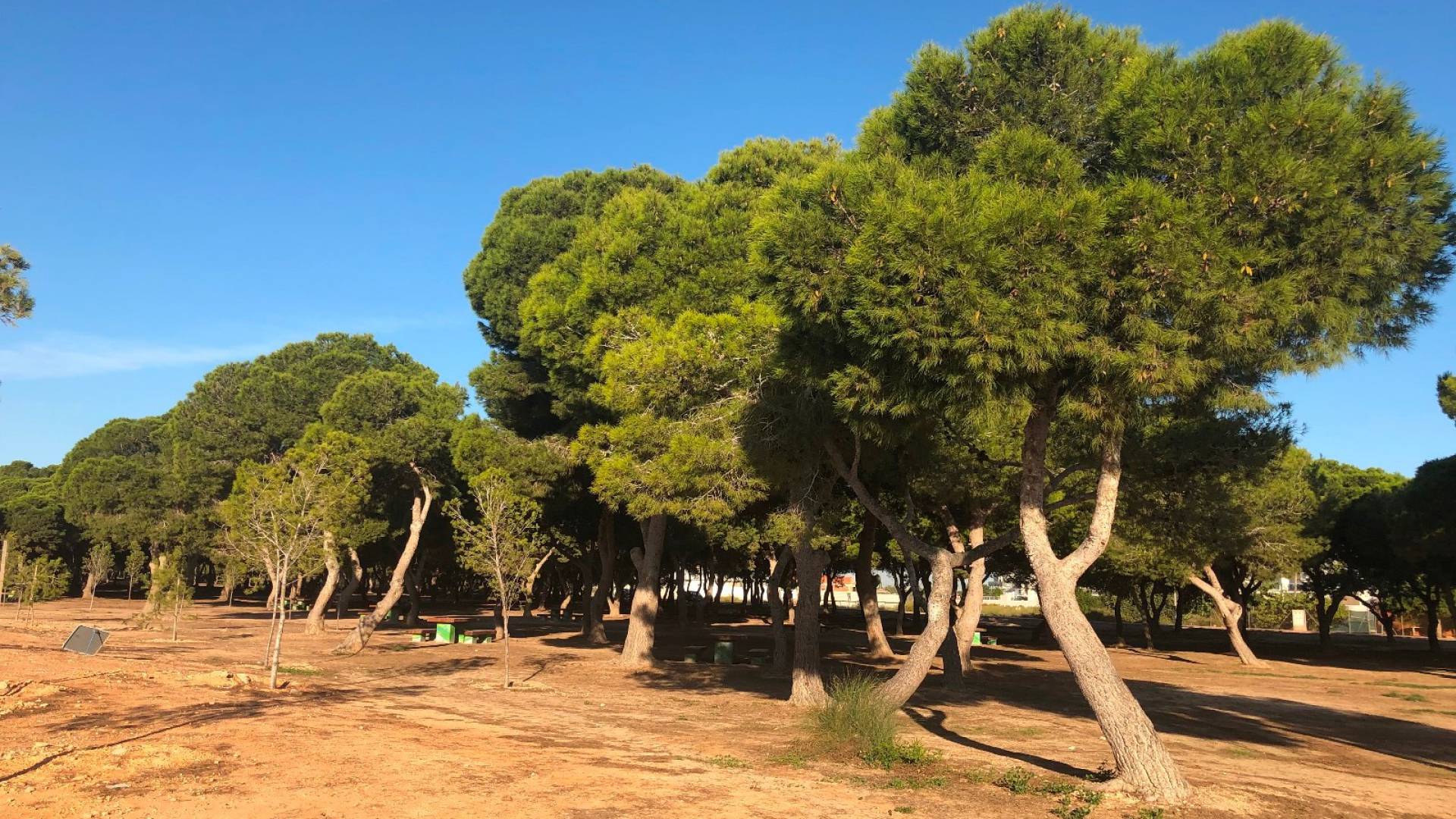 Nybyggnad - Lägenhet - Santiago de la Ribera