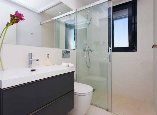 Compleet- Sleutel Klaar - Appartement - Mil Palmeras - Alicante