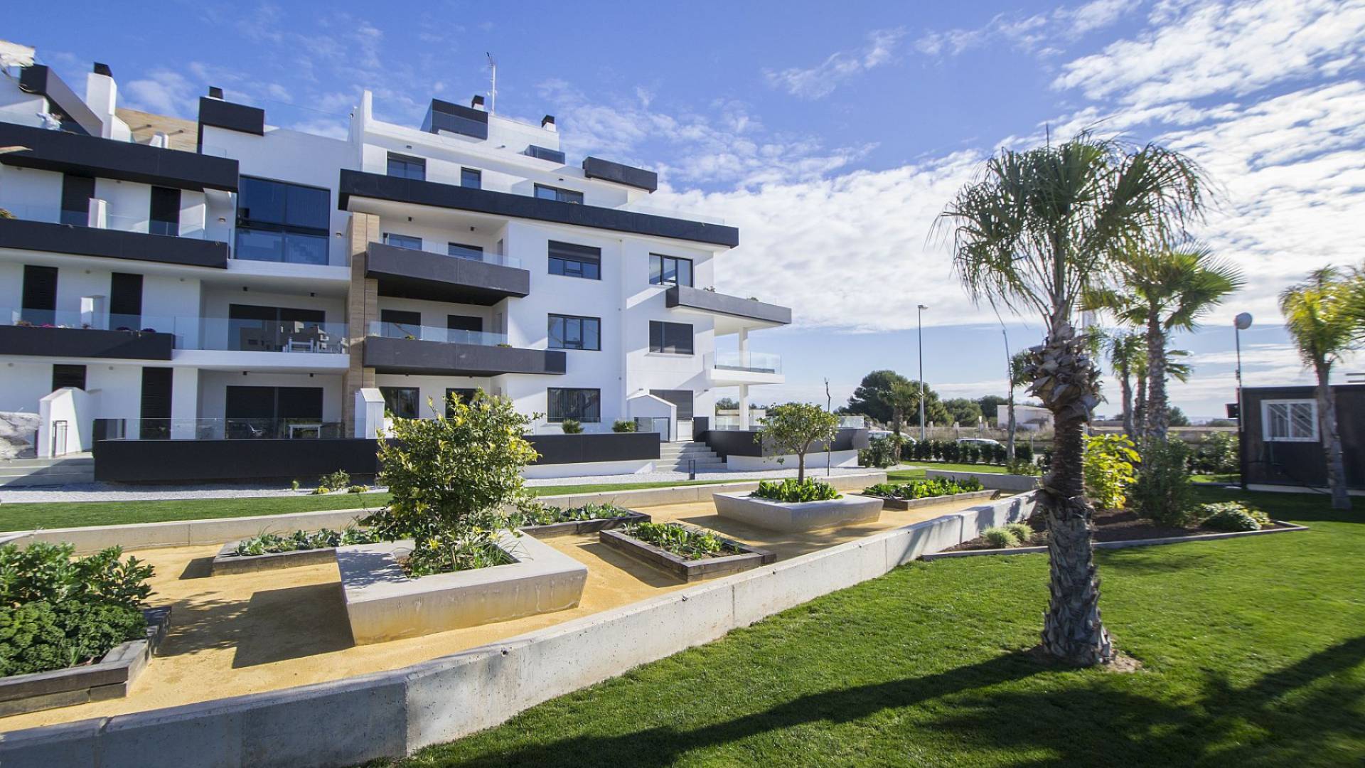 Neubau - Wohnung - Los Dolses