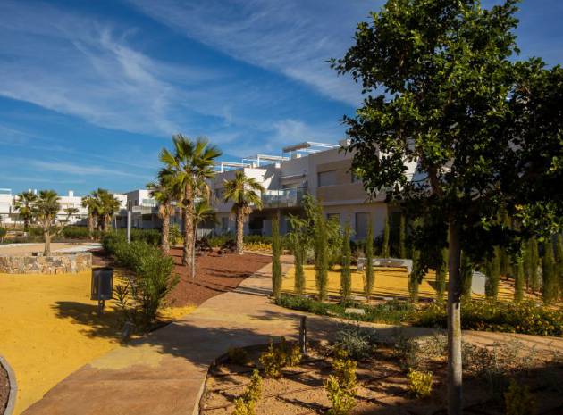 Nieuw gebouw - Appartement - Los Montesinos - Vistabella Golf