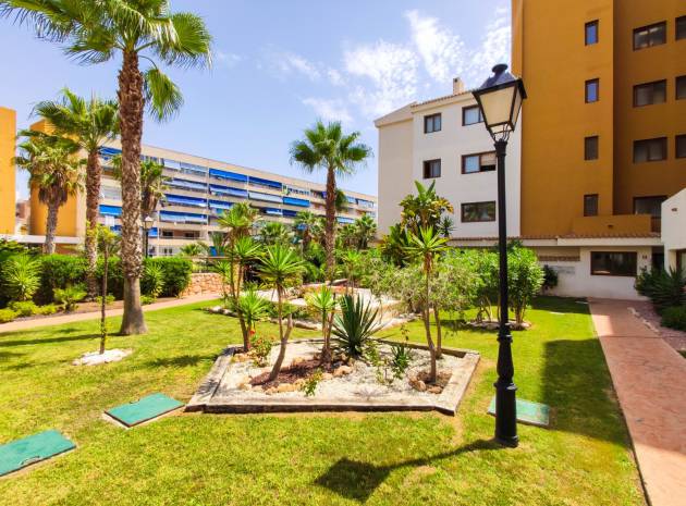 Wederverkoop - Appartement - Punta Prima - la entrada