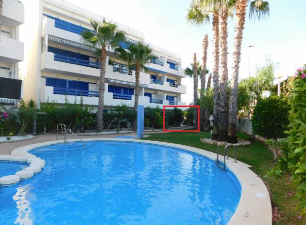 Återförsäljning - Lägenhet - Playa Flamenca - la calma