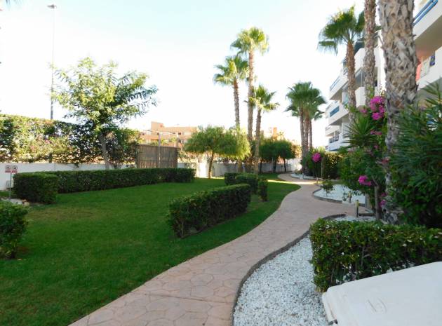 Återförsäljning - Lägenhet - Playa Flamenca - la calma