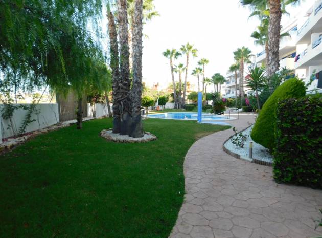 Återförsäljning - Lägenhet - Playa Flamenca - la calma