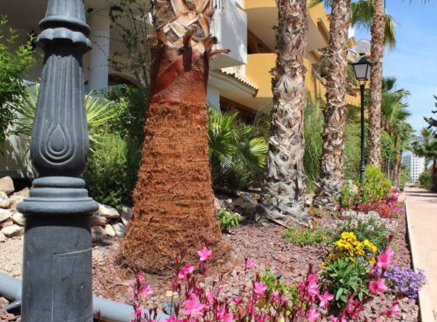 Resale - Apartment - Punta Prima - panorama park